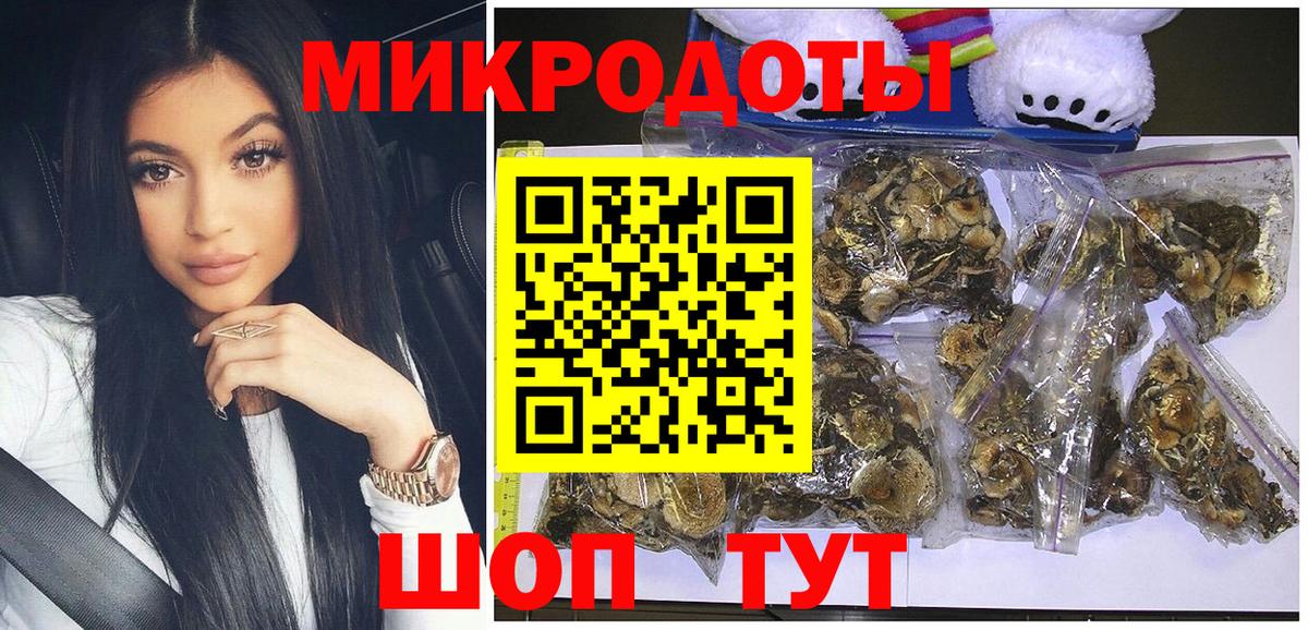 Нерюнгри  Псилоцибиновые грибы GOLDEN TEACHER  Вход с VPN  Псилоцибиновые грибы мухоморы 
