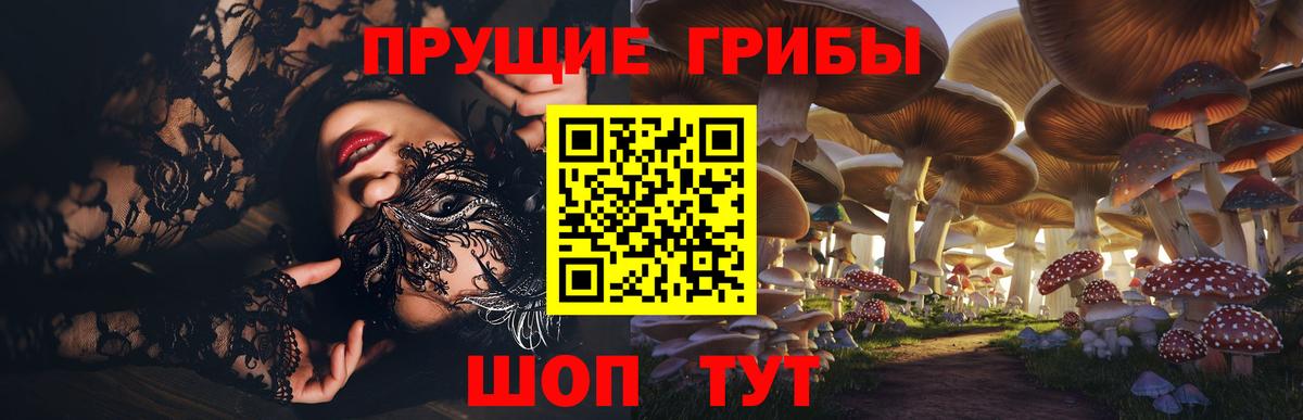Галлюциногенные грибы прущие грибы Нерюнгри